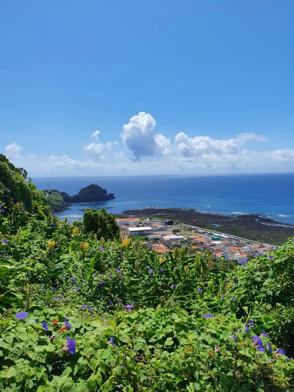 Blick über die Küste von Pico von einem Aussichtspunkt